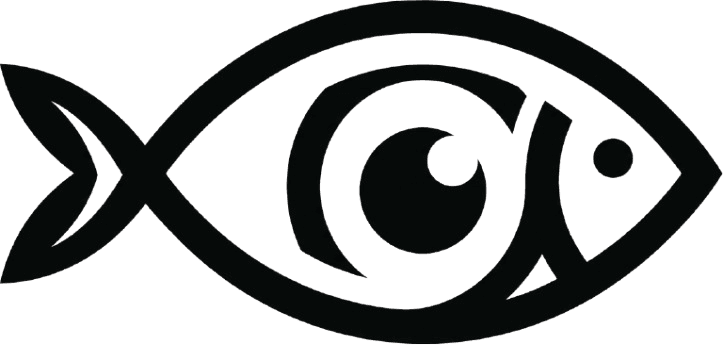 Système IoT Fisheye